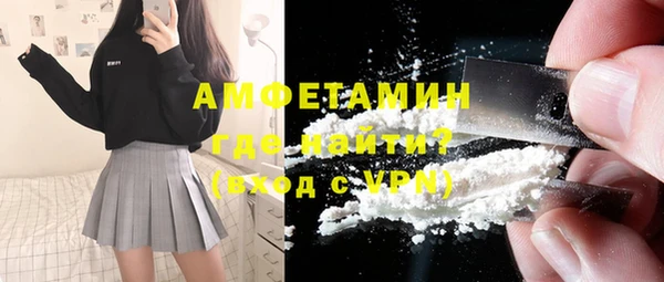 гидра Арсеньев
