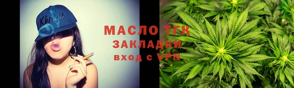 гидра Арсеньев