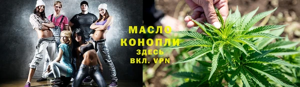 гидра Арсеньев