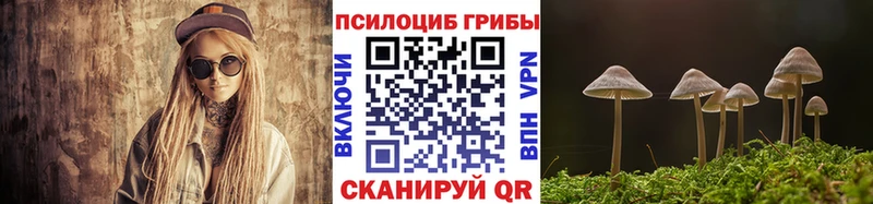 МЕГА зеркало  Фрязино  Галлюциногенные грибы GOLDEN TEACHER 